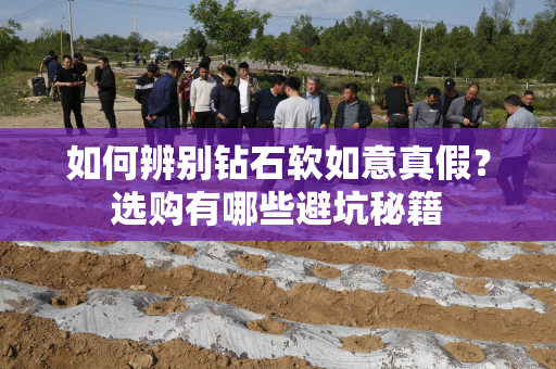 如何辨别钻石软如意真假？选购有哪些避坑秘籍